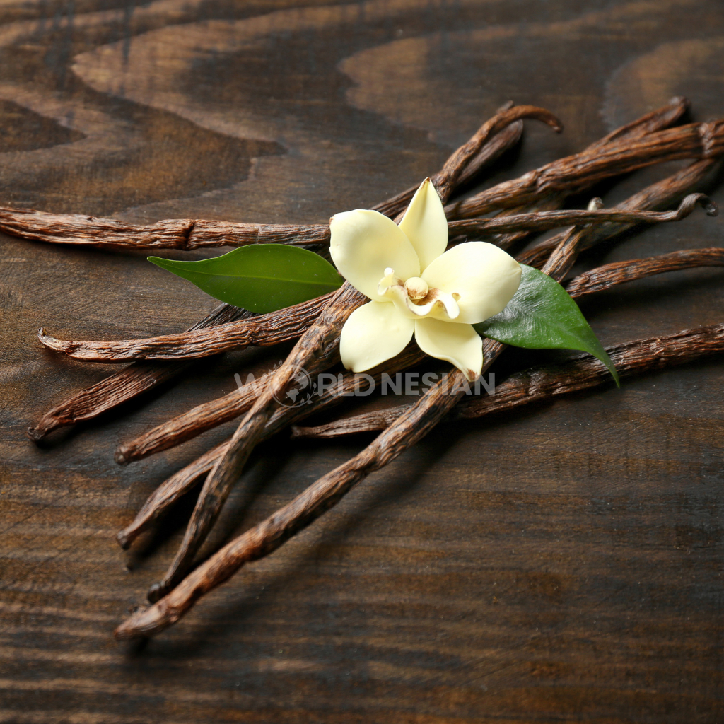 

VANILLA TAHITENSIS GRADE B 1 KG PREMIUM SIZE 13-16 CM / VANILLA TAHITENSIS / VANILLA PODS