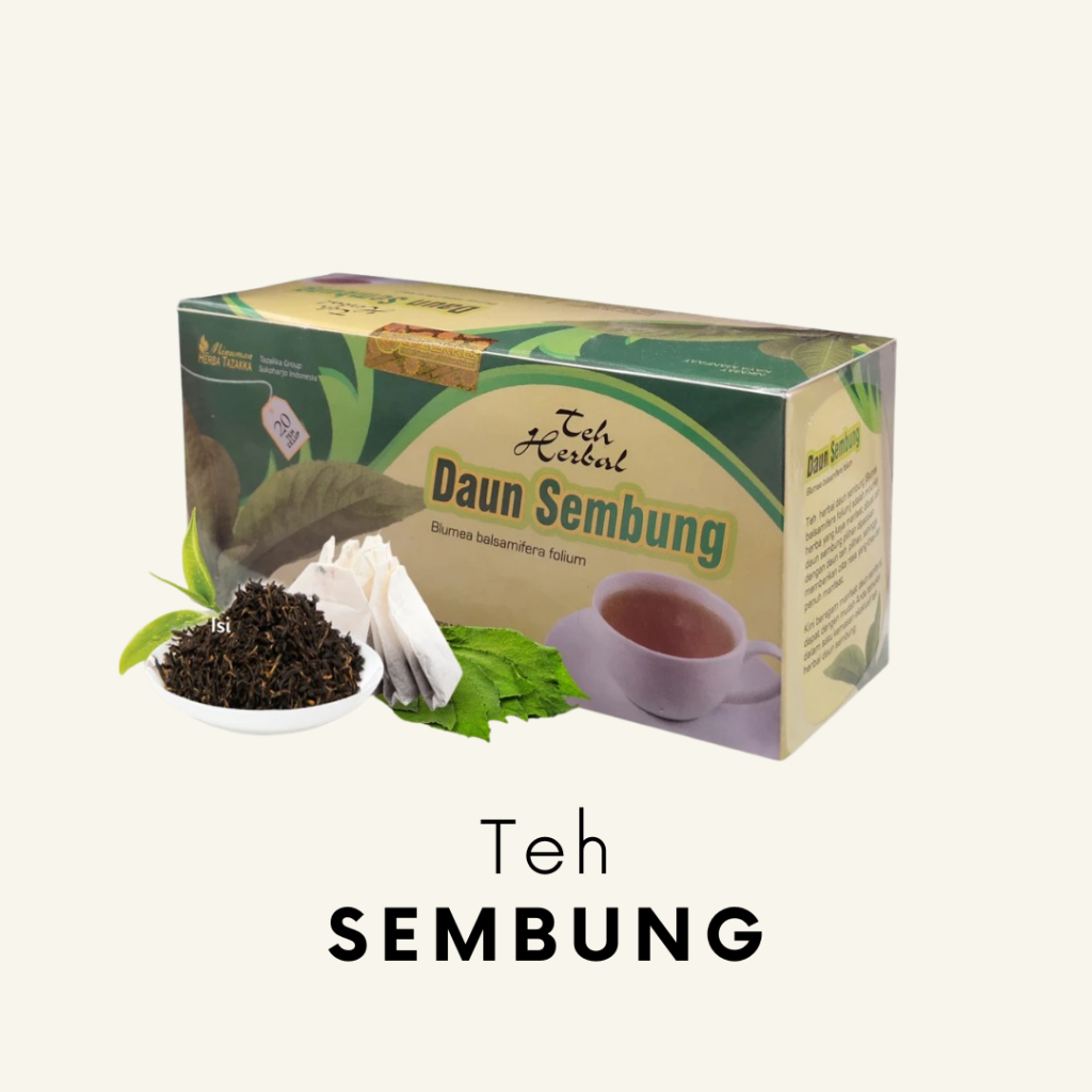 

Teh Herbal Daun Sembung tazakka Blumea Balsamifera Folium Menurunkan tekanan darah tinggi anti oksidan