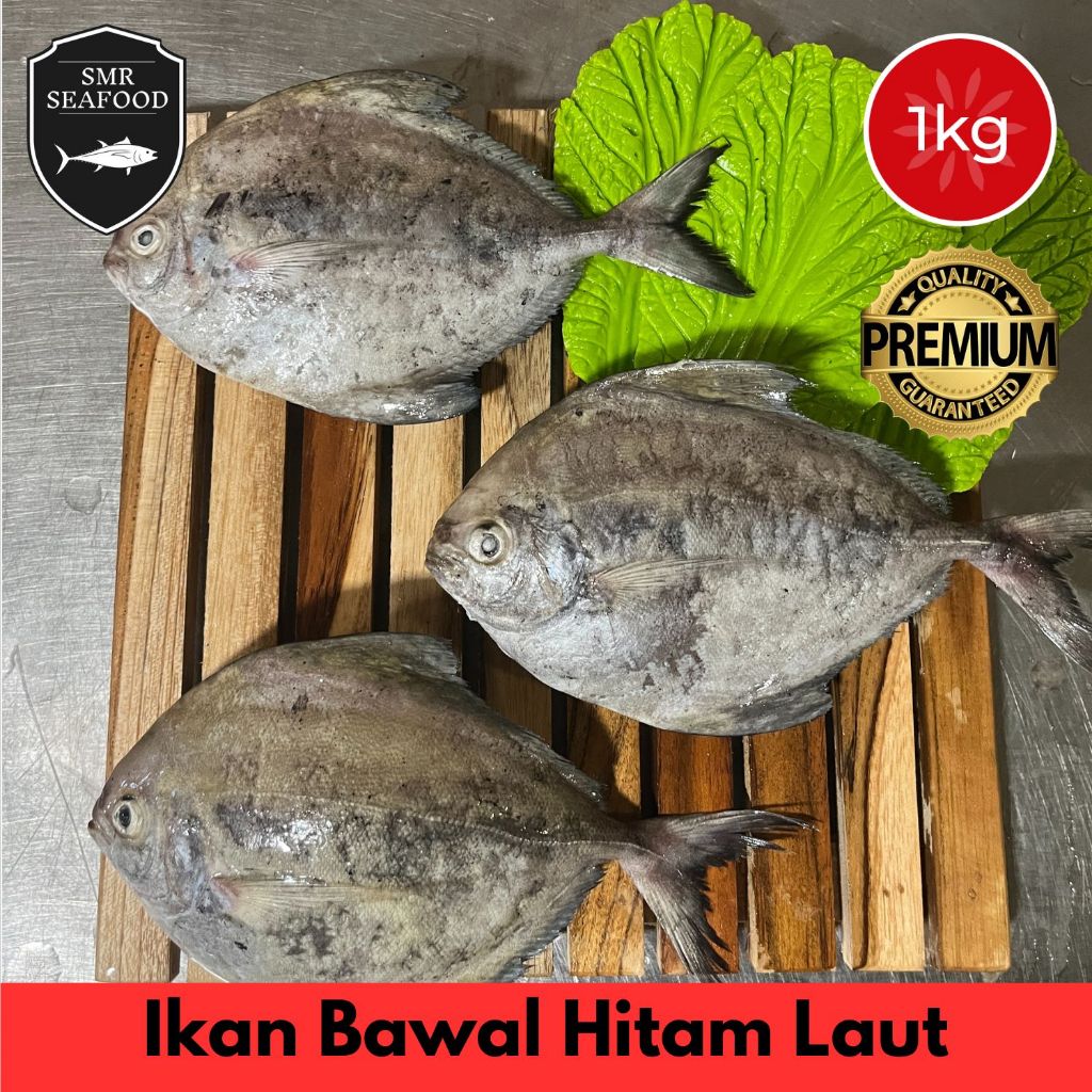 

Ikan Bawal Laut / Bawal Hitam / Black Pomfret | Frozen Beku Utuh 1KG