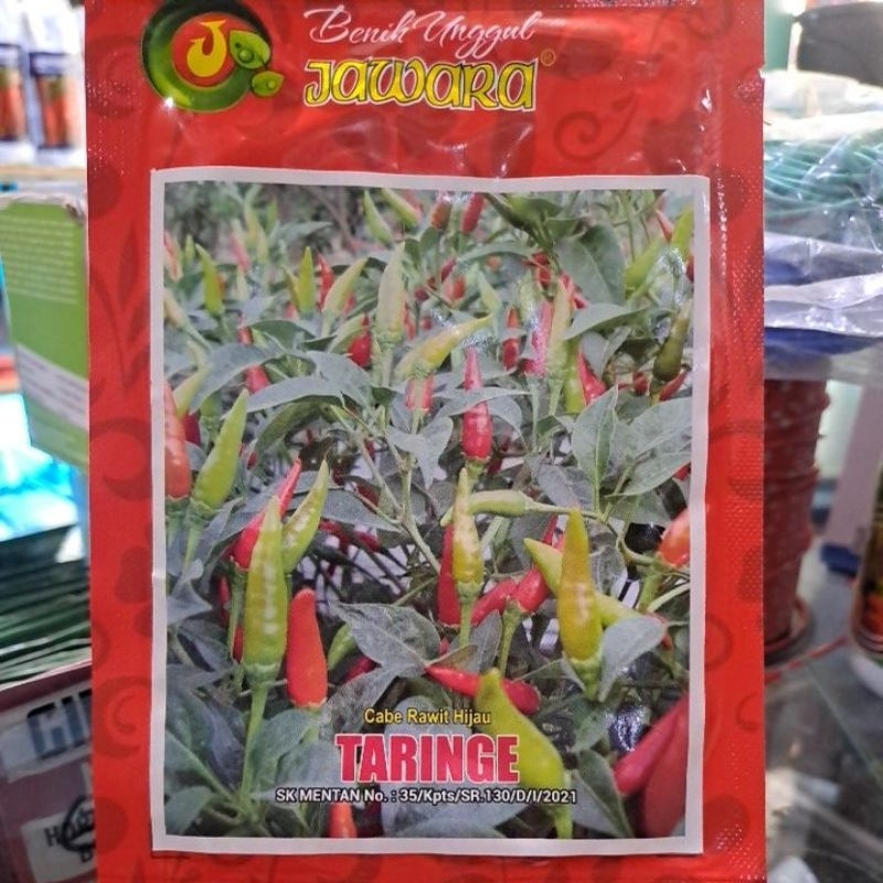 Benih Unggul Jawara Cabe Rawit Hijau Taringe 10gr/Cabe rawit hijau/cabe rawit/rawit hijau