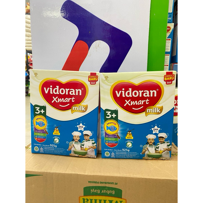 

VIDORAN XMART 3+ 925GR/2 BOX