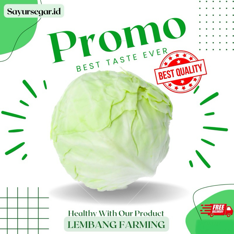 

PROMO!!! kubis segar konvensional