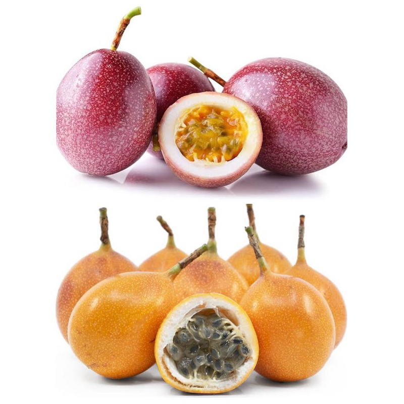 

Passion Fruit Markisa Medan | Markisa Madu Bali Konyal 1 kg