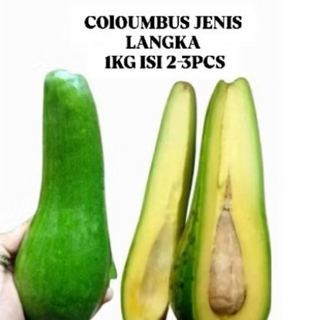 

Alpukat Coloumbus 1 Kg