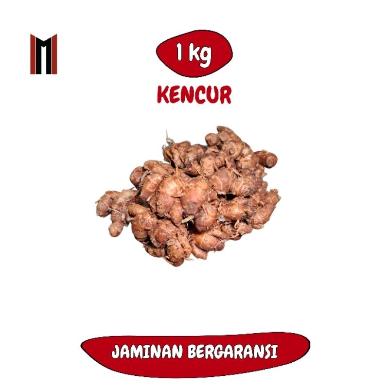 

KENCUR FRESH ASLI PEGUNUNGAN PATIAYAM