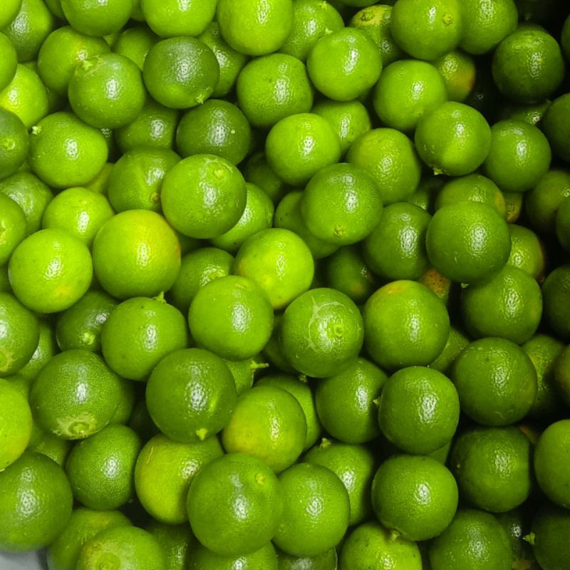 

1KG JERUK SONKIT / JERUK KASTURI / JERUK KUNCI