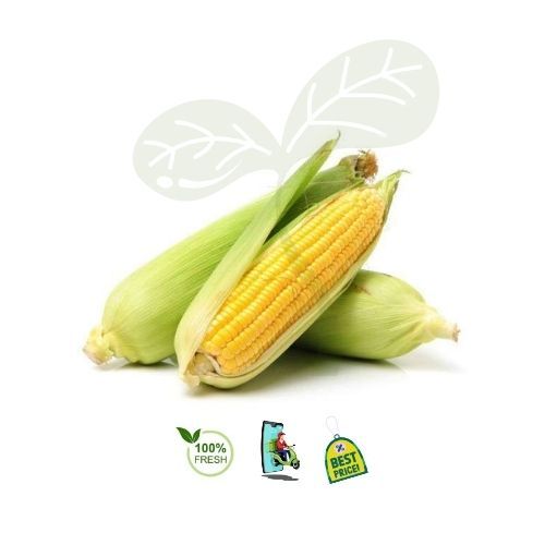 

Jagung - 100 gr