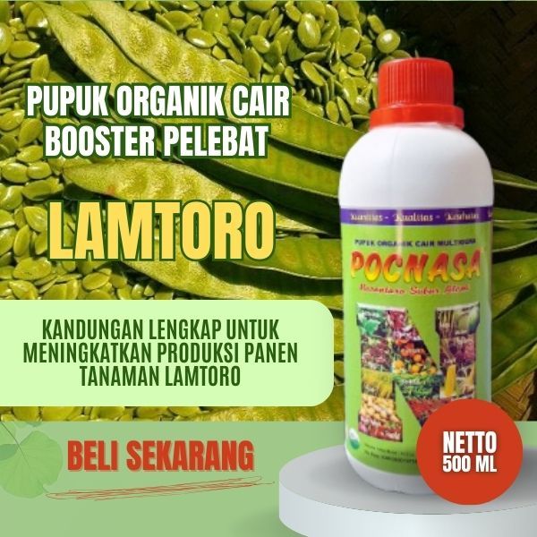 Pupuk Lamtoro  / Pupuk Pelebat Booster Lamtoro / Pupuk Lamtoro Taramba / Pupuk Lamtoro Gung / Cair