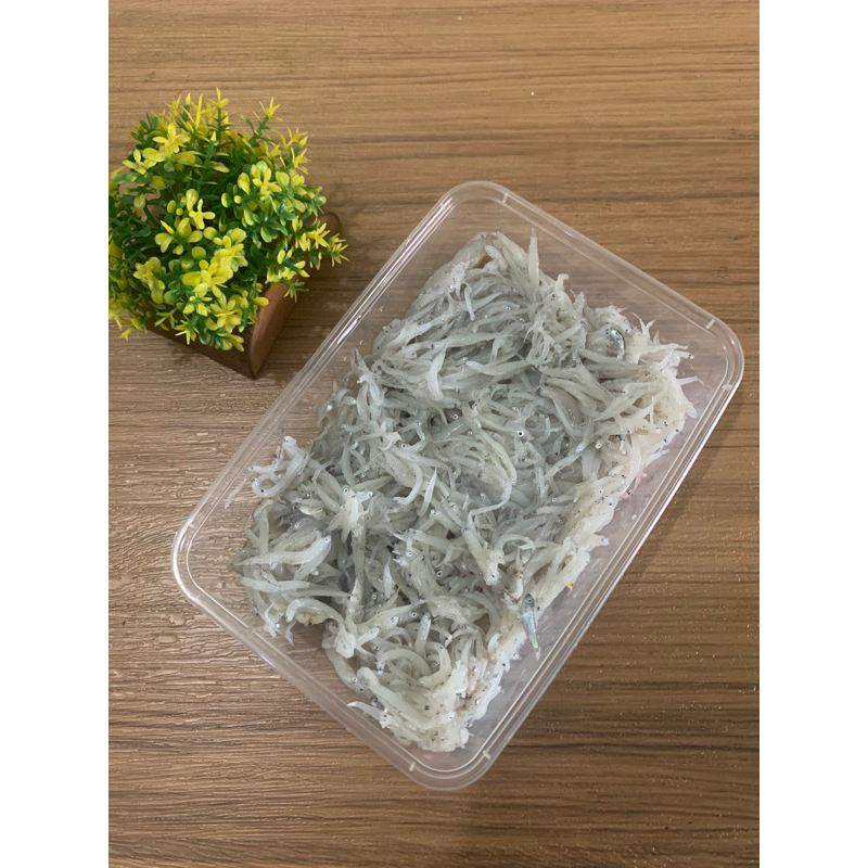 

teri nasi basah / harta karun mpasi / teri nasi mpasi /teri nasi froozen