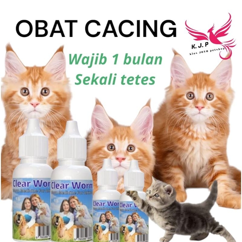 Obat cacing & menghiangkan parasit cacing pada kucing kitten maupun dewasa