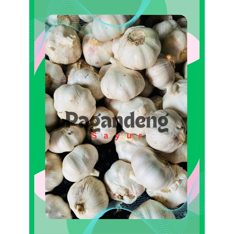 

Bawang Putih