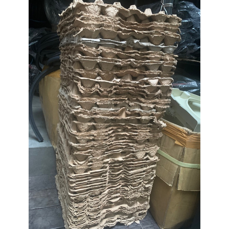 Egg Tray telur telor bekas