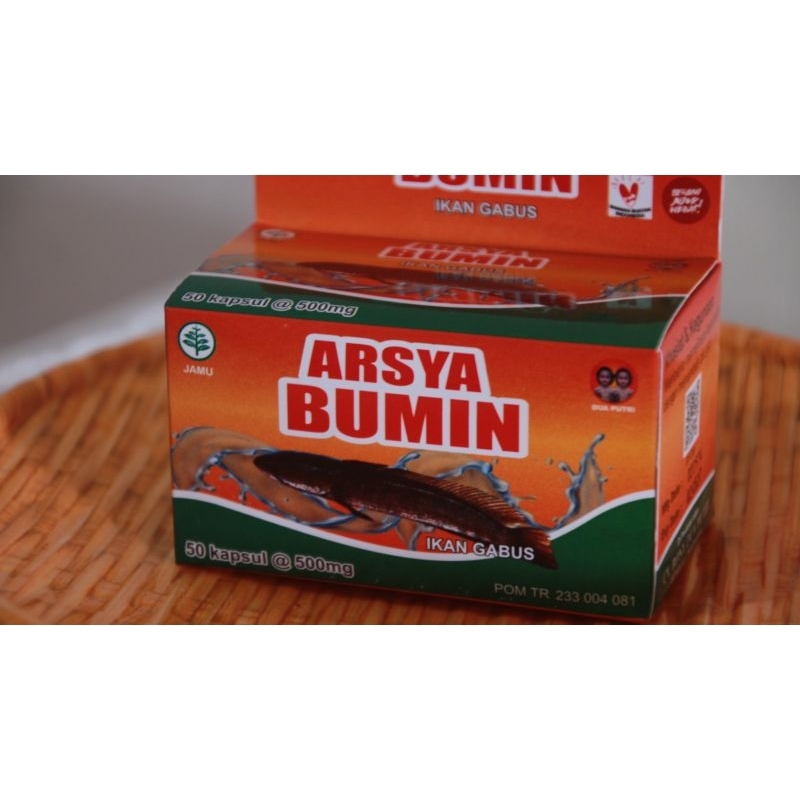 

Arsya Bumin