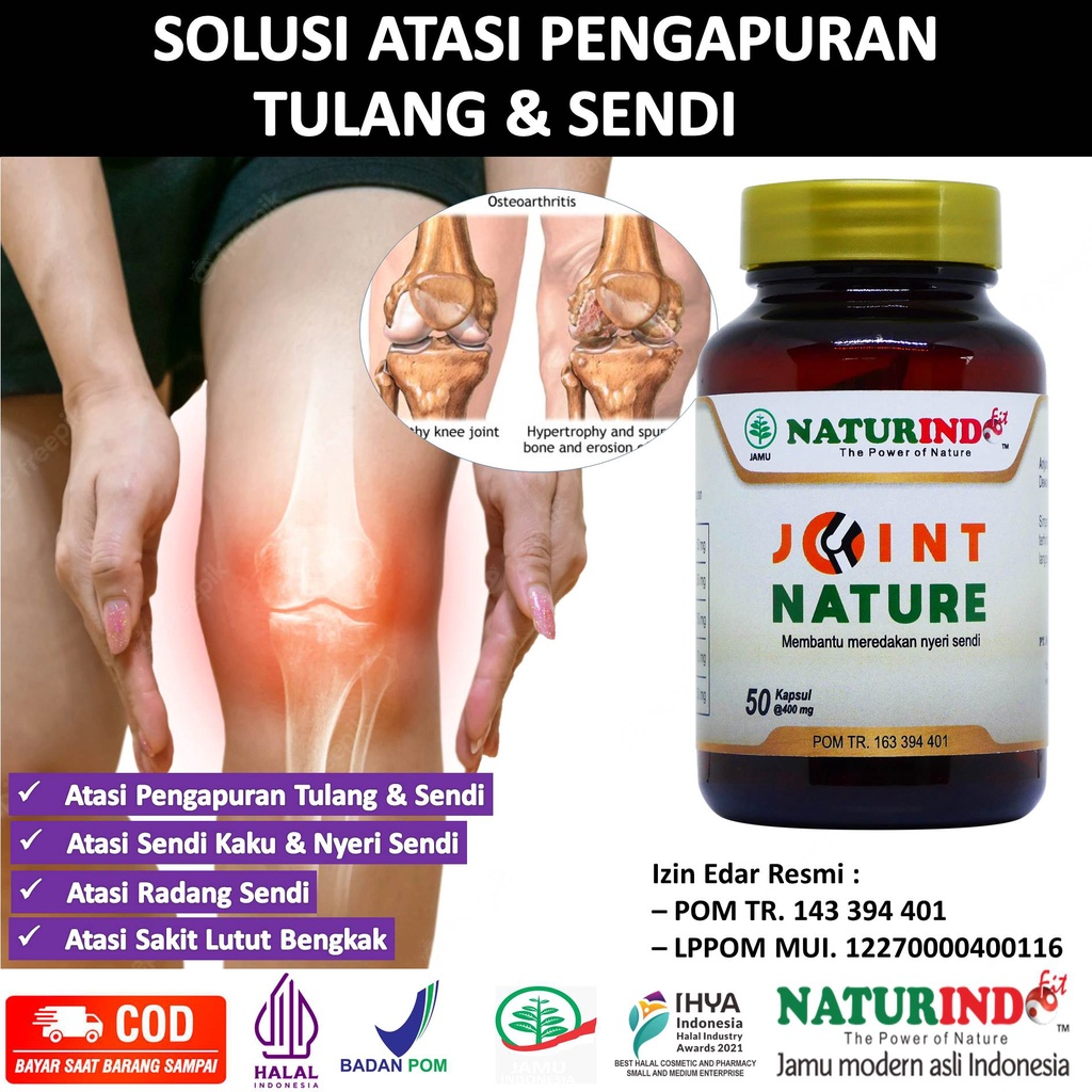 Obat Pengapuran Tulang Nyeri Sendi Lutut Tulang Keropos Osteoporosis