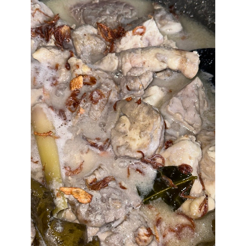

OPOR OTAK SAPI NO MSG NO LADA NO GULA BISA UNTUK MPASI SANTAN ASLI