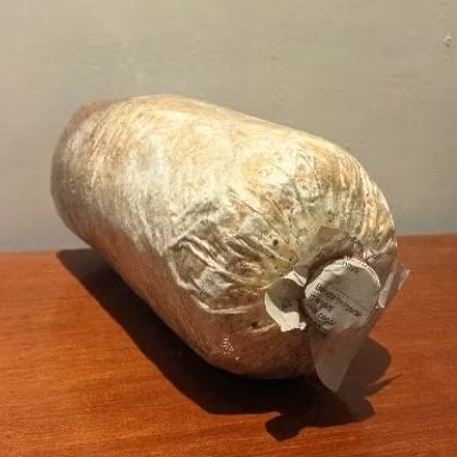 

JAMUR TIRAM | BAGLOG JAMUR TIRAM | BAHAN JAMUR TIRAM SIAP PANEN