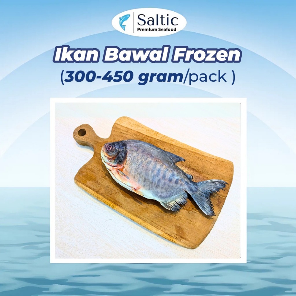 

Ikan Bawal Frozen berasal dari Kolam Air Deras (300-450 gr) - SALTIC