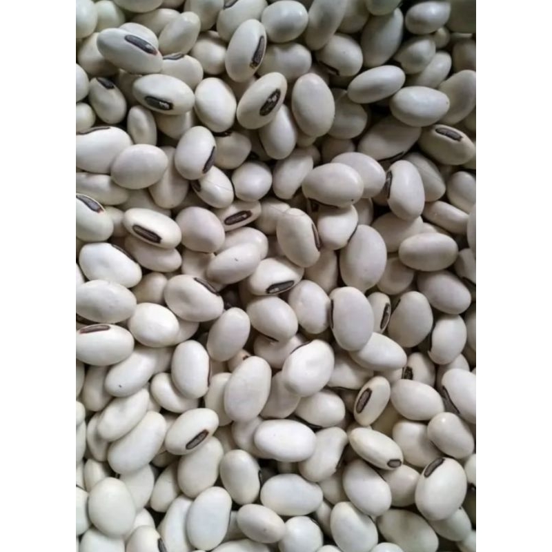 

Kacang Koro Pedang 1kg