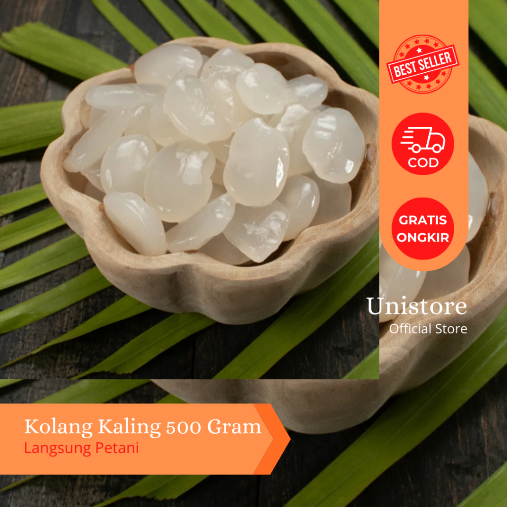 

Kolang Kaling Segar 1kg | Langsung dari Petani | Kualitas Terjamin