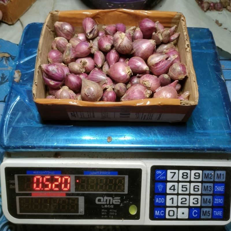 

bawang merah sedang