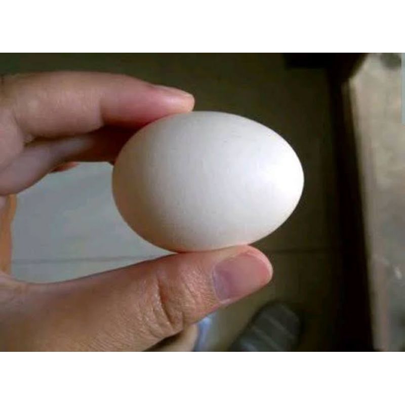 Telur Ayam Kampung 1 Butir - Defa Fresh Market