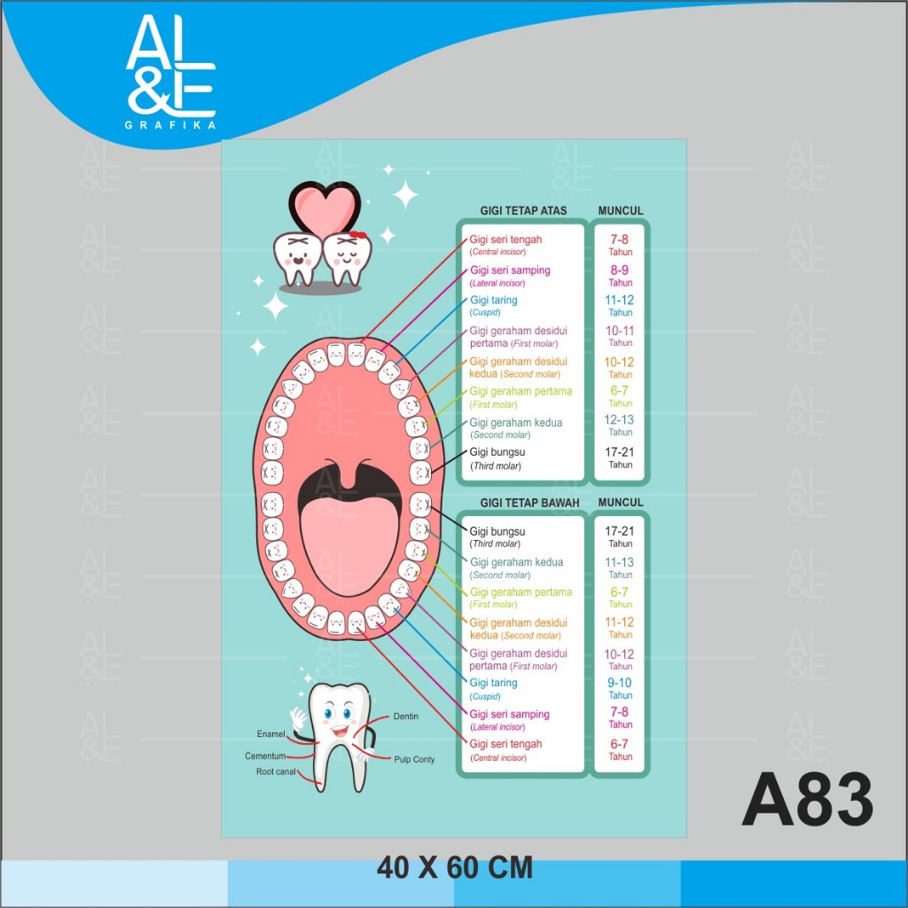

A83 - Acrylic Sign, Stiker Akrilik Gambar Susunan Gigi, Premium dan Tahan Air, Termurah, dan Bisa Custom