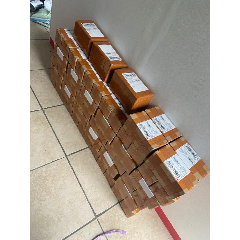 Asiatica GANTENG GONDRONG BERKUALITAS