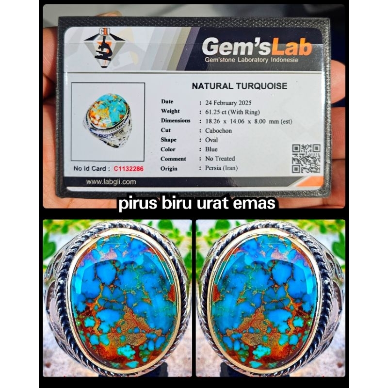 pirus kelas kontes indonesia ( warna biru urat emas super )