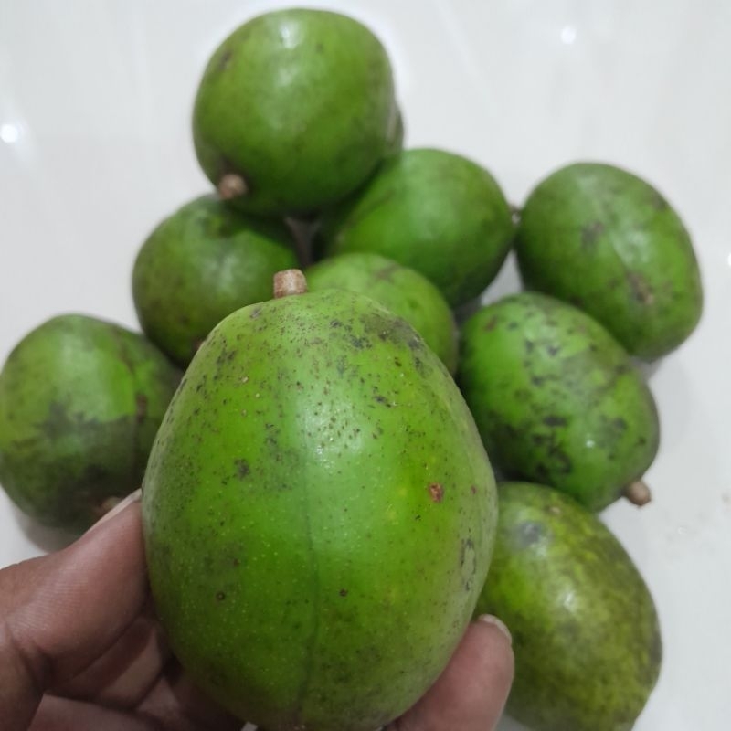 

buah Kedongdong Segar 1 kg