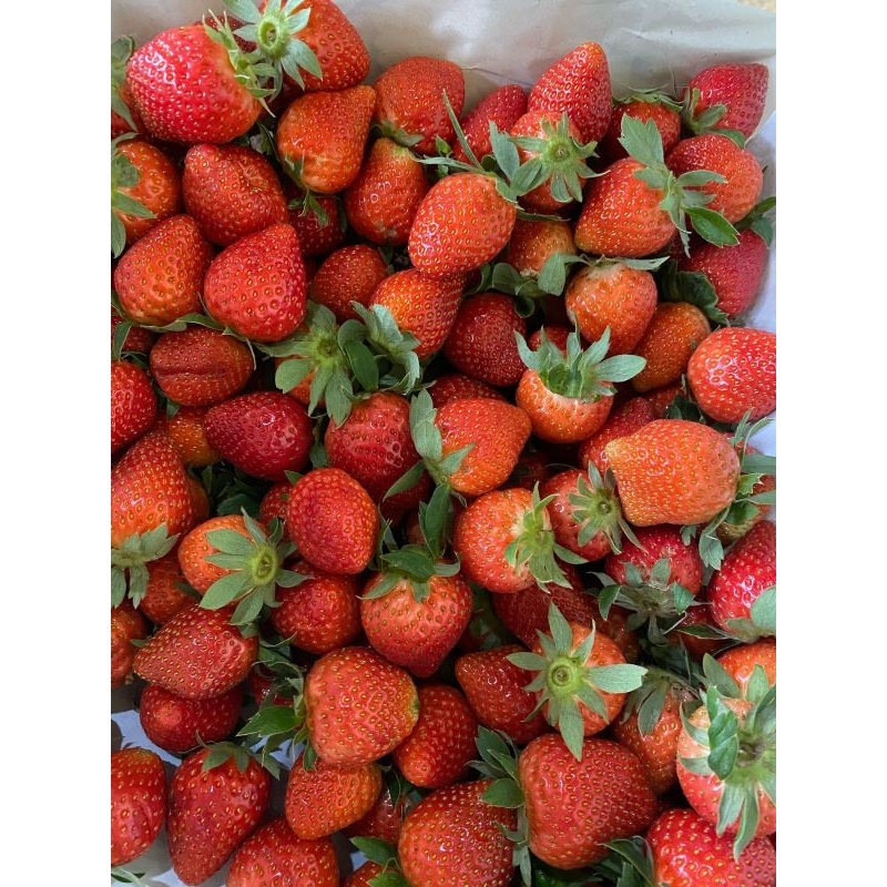 

STRAWBERRY MEDIUM GRADE 1KG