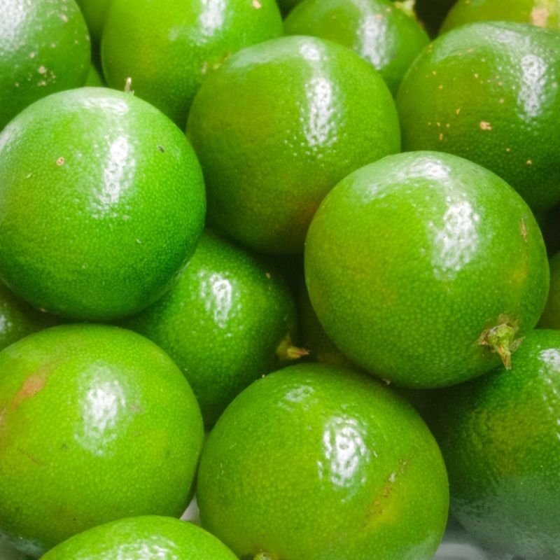 jeruk sonkit/jeruk kasturi/ jeruk kunci