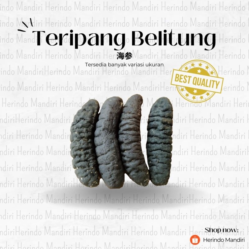 

haisom teripang belitung kering 50 gram