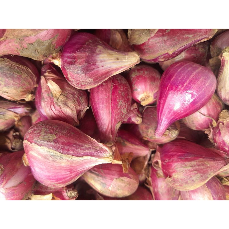 

Bawang Merah Brebes Besar/Super 1kg