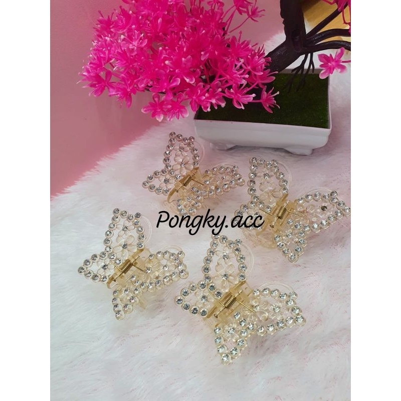 JEDAI KUPU-KUPU MUTIARA / JEDAI KOREA KUPU-KUPU MUTIARA