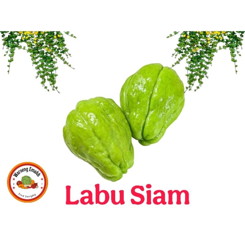 

LABU SIAM