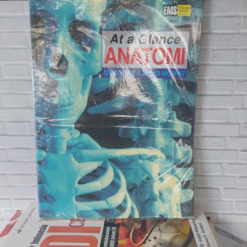At a Glance ANATOMI
