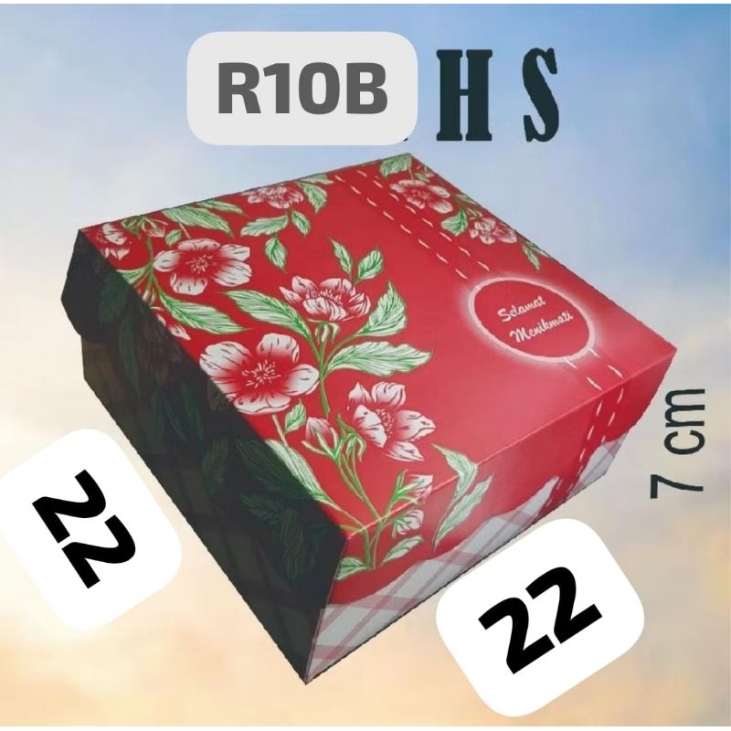 

R10B HS isi 50 lmb dos ukr 22 x 22 x 7 cm