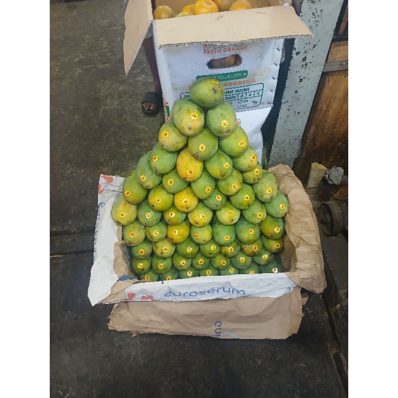 

mangga harumanis grosir
