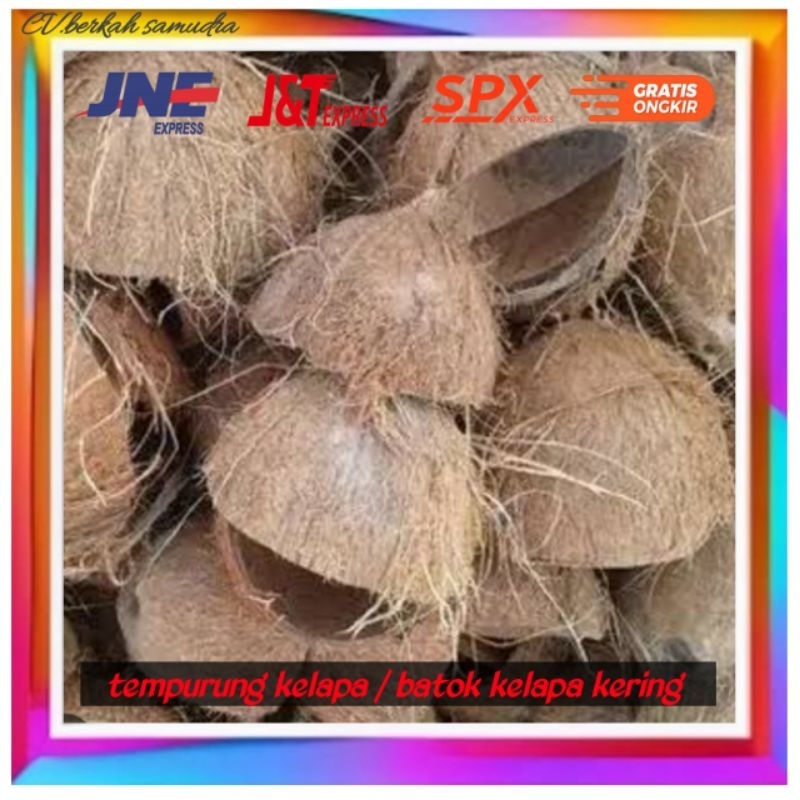 tempurung kelapa/ batok kelapa kering