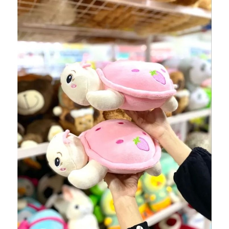 Boneka Turtle Lucu Boneka Kura-kura Boneka Murah