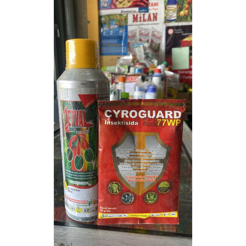 CYROGUARD DAN ZETVAL