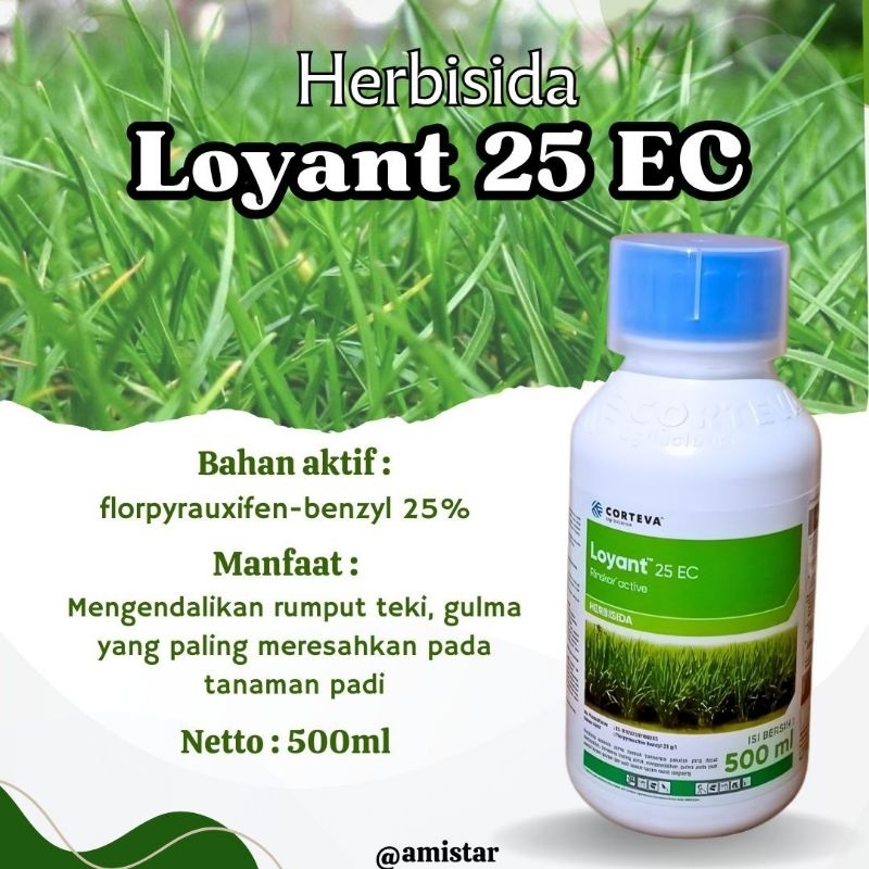 Herbisida Loyant 25EC 500ml Pembasmi Gulma Padi Produk Asli Corteva
