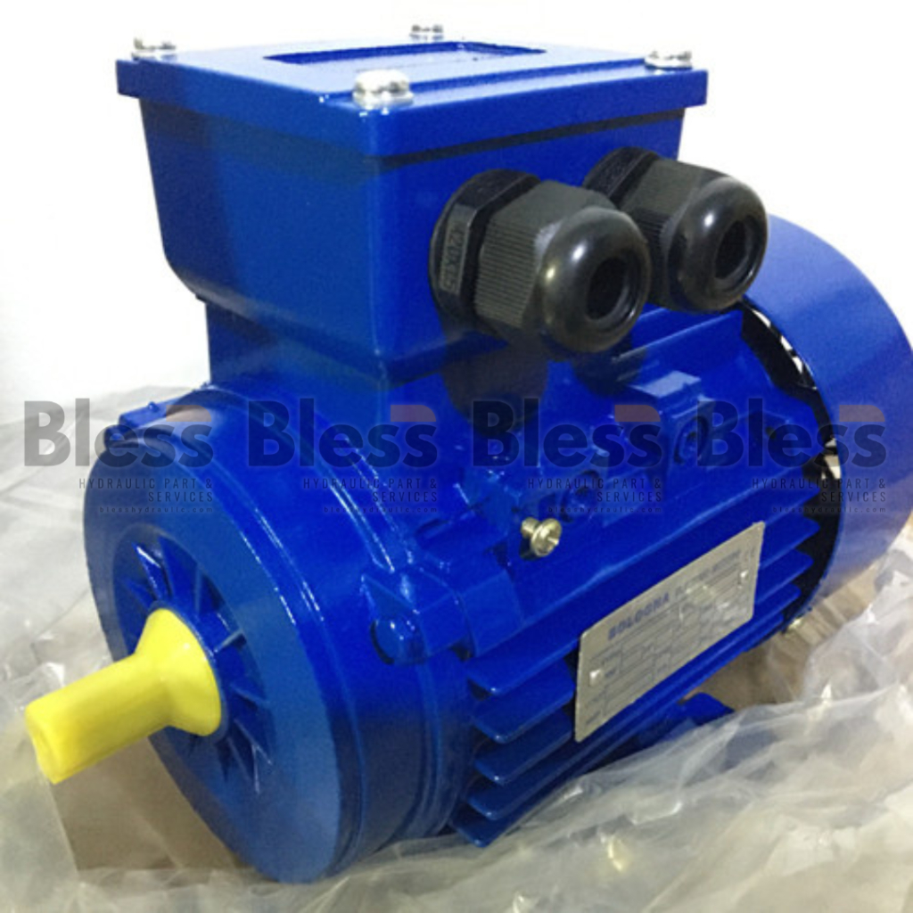 Electric Motor Bologna 2 HP 1 Phase Foot