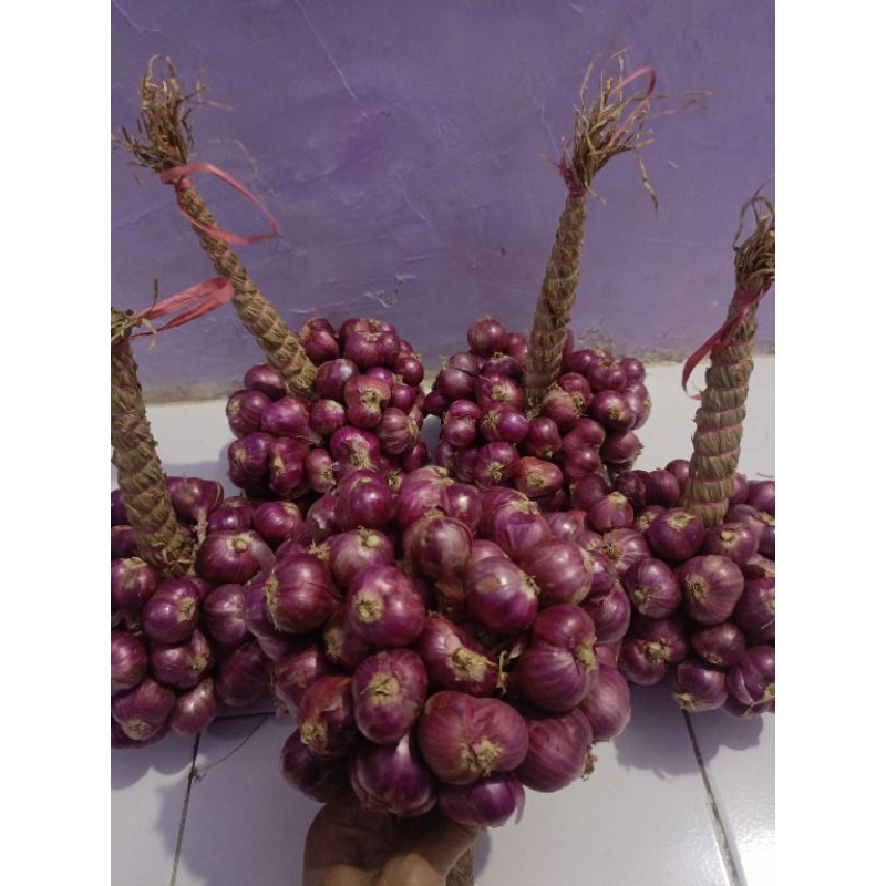 

bawang merah ikat Kanaya jaya Asli probolinggo