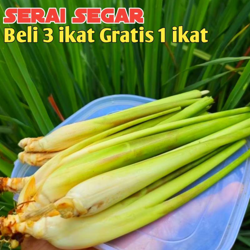 

SERAI SEGAR BUMBU MASAKAN TOP