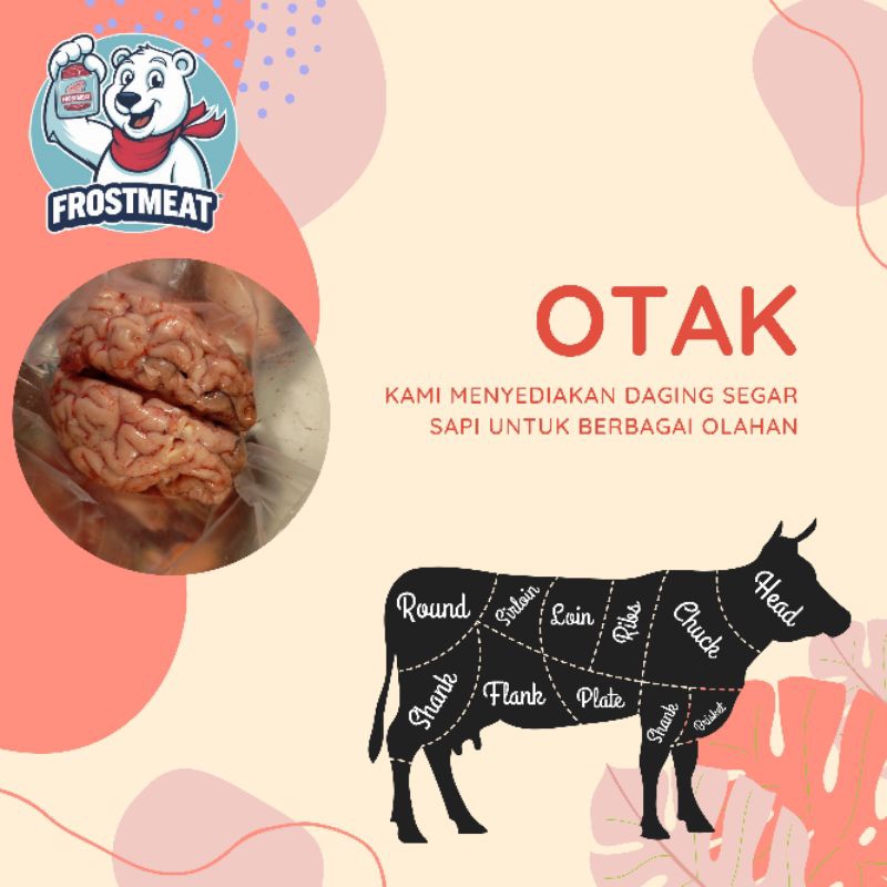 

[SAPI] Otak sapi utuh (Kemasan Vacuum)