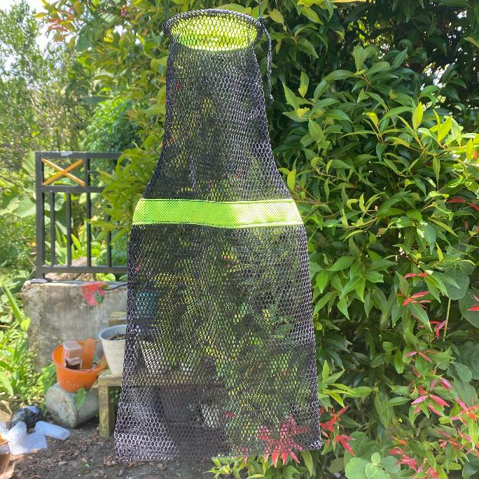 Koja ikan serut terlaris/ koja ikan termurah/ COD Koja ikan