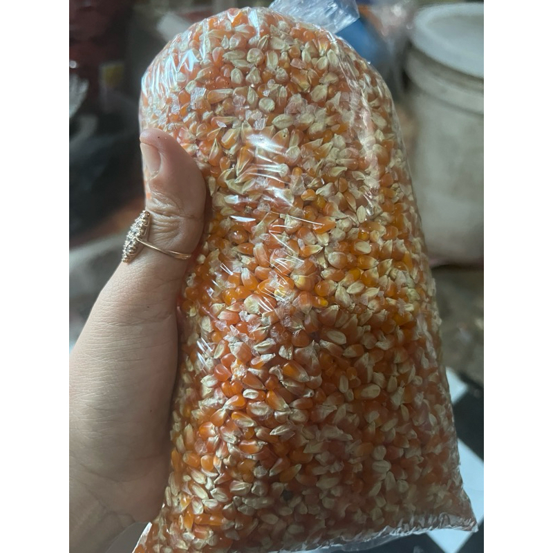 

Jagung merpati