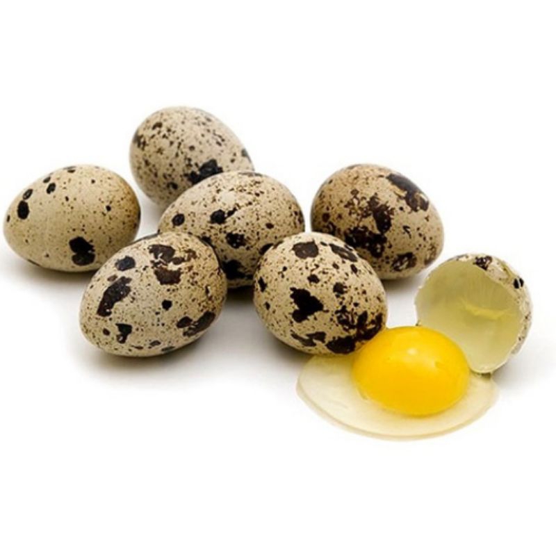 

telur puyuh 250 gr