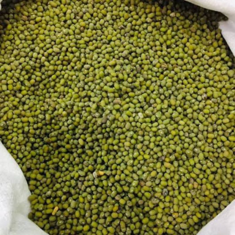 

kacang ijo fresh khas ciamis